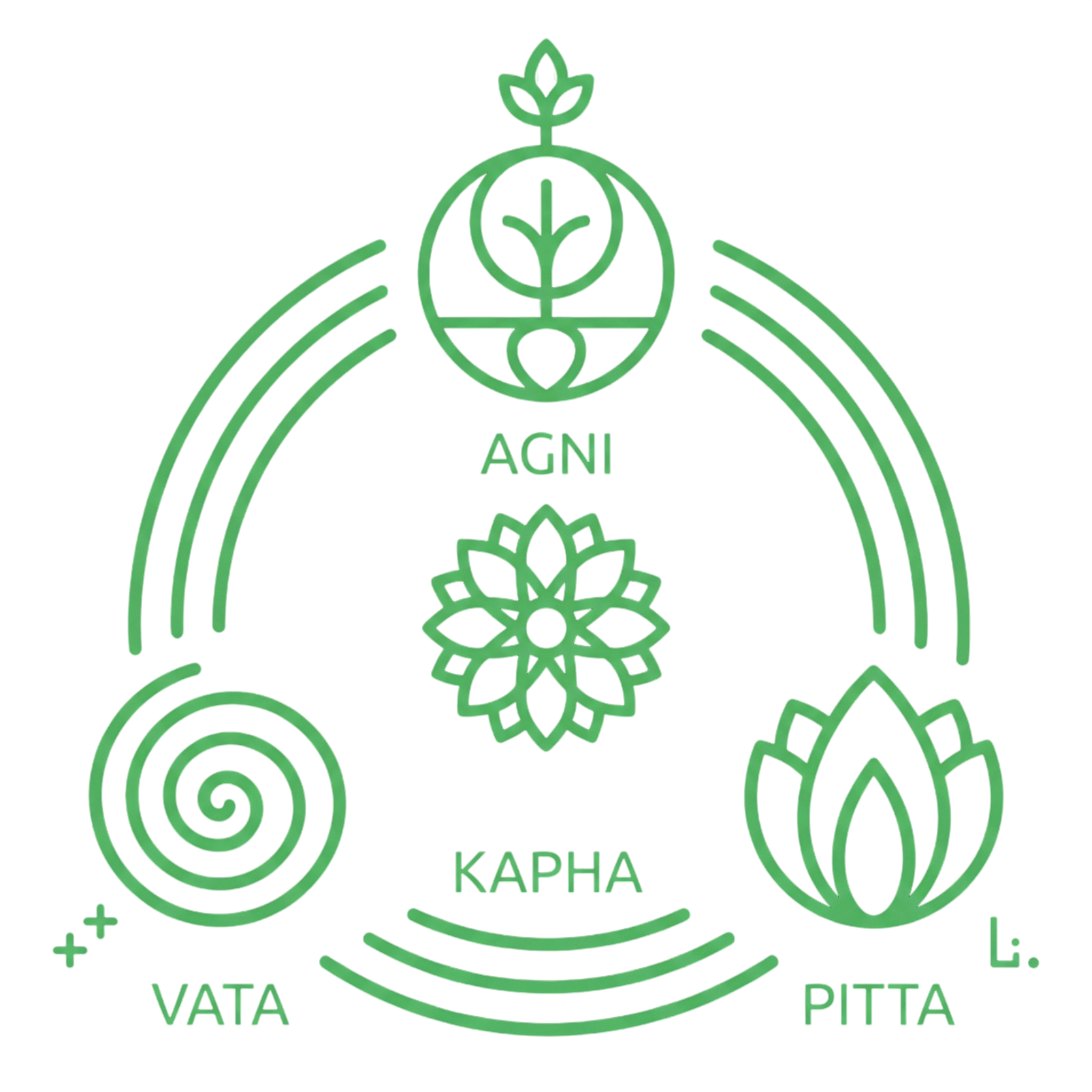 Aahar, Vihar, Chikitsa